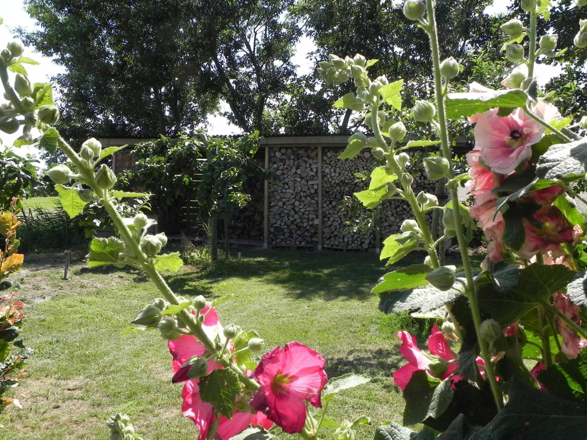 Appels En Peren Bed And Breakfast Breezand ห้อง รูปภาพ