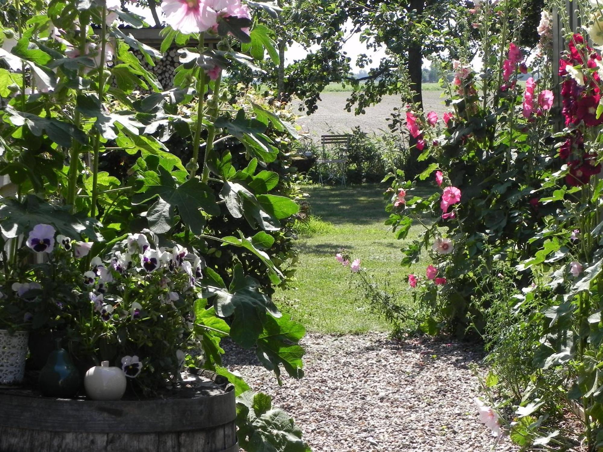 Appels En Peren Bed And Breakfast Breezand ห้อง รูปภาพ