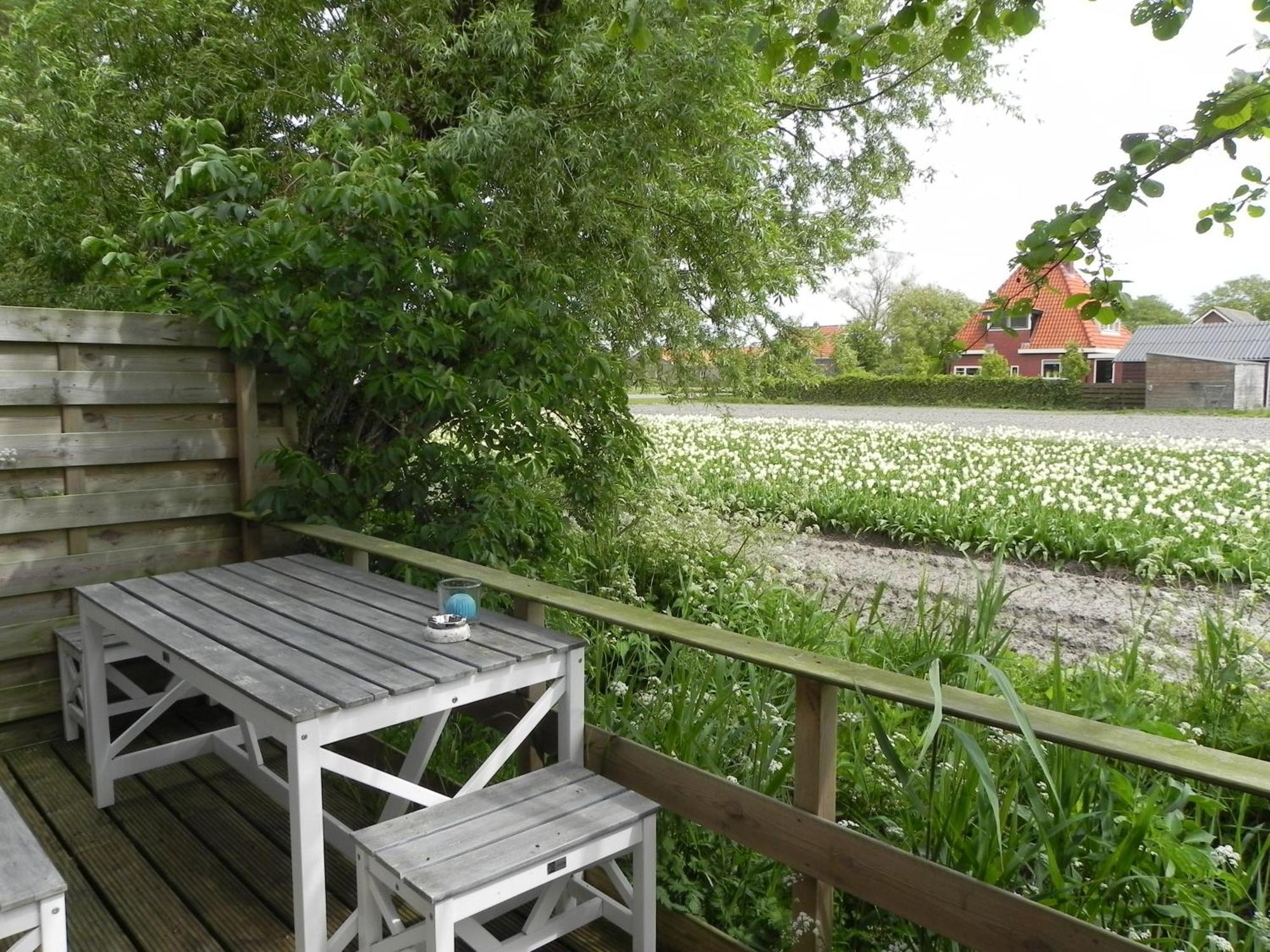 Appels En Peren Bed And Breakfast Breezand ห้อง รูปภาพ